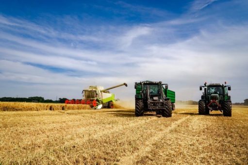 Basis der Ernährungsmittelindustrie – die Landwirtschaft